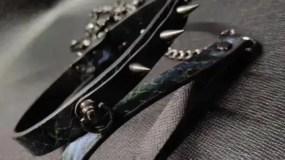 西檬之家-探索字母圈核心术语解析，新手必读的BDSM入门指南