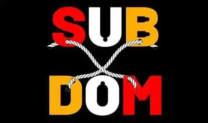 西檬之家-BDSM入圈指南