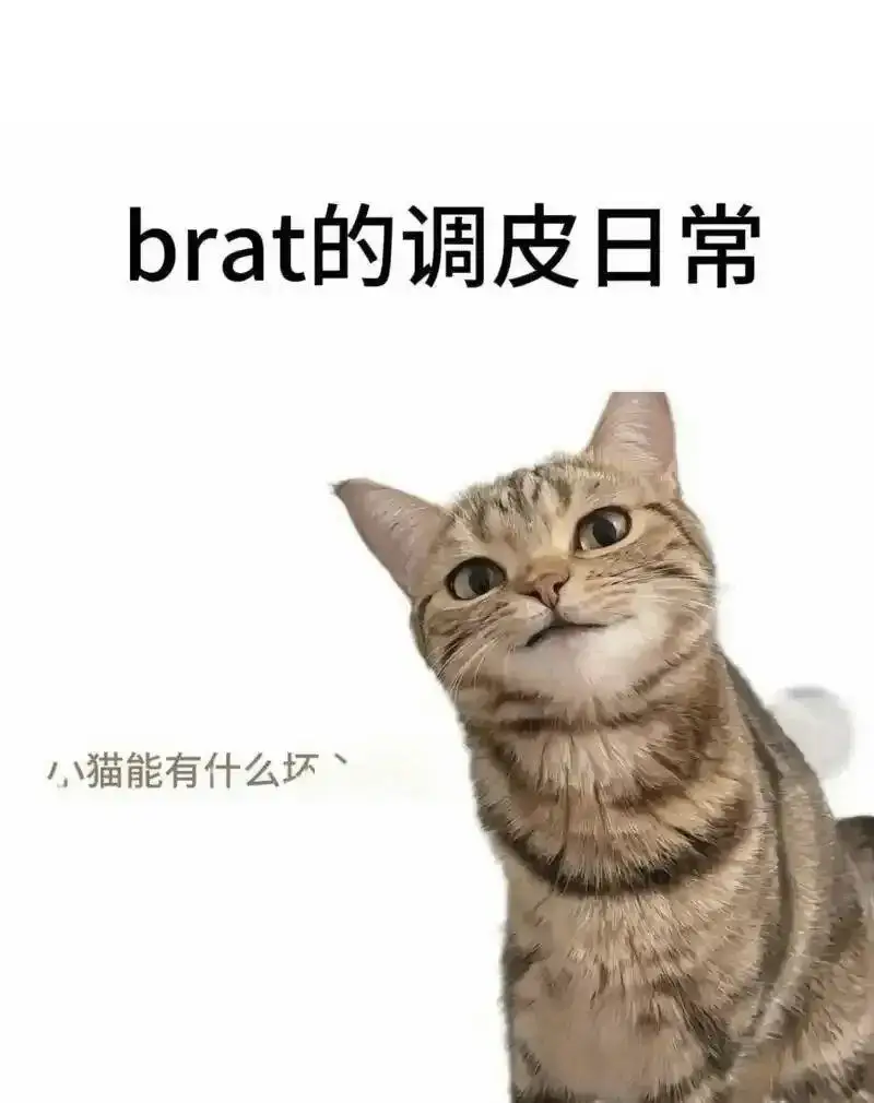 大圈 - 2025-11-13 192048