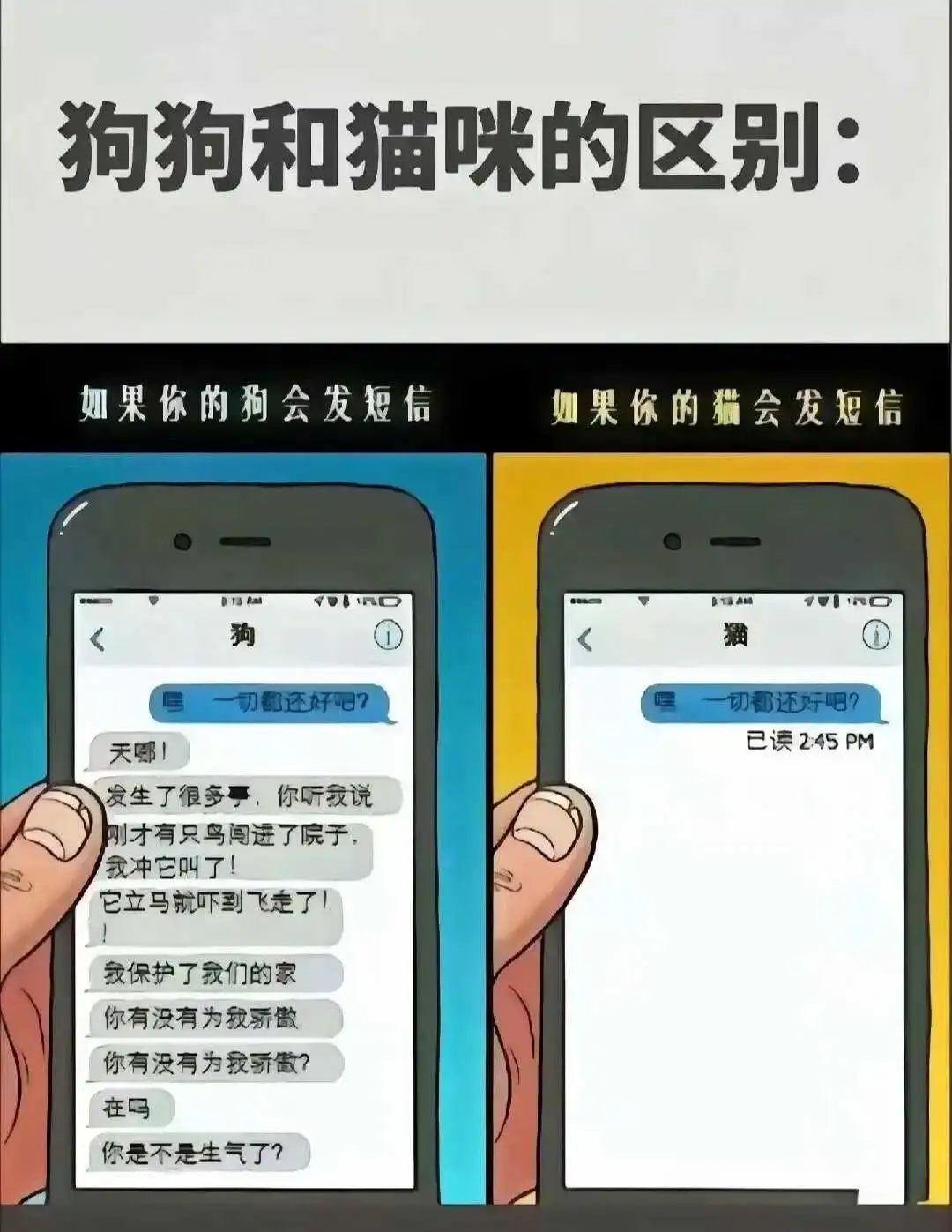 k8是什么 - 微信图片_20250713011414