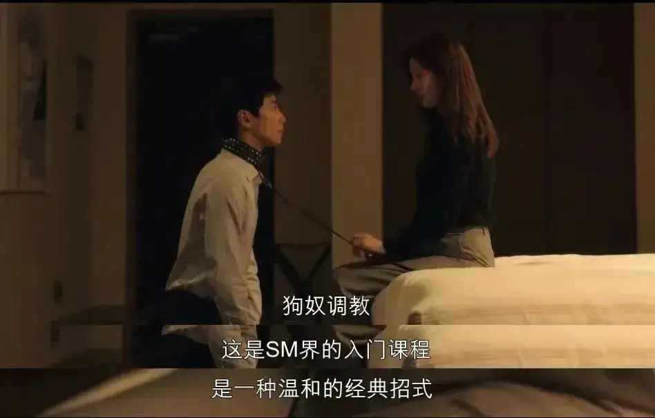 西檬之家-字母圈新人入圈指南：从术语到实践，全面解读BDSM文化