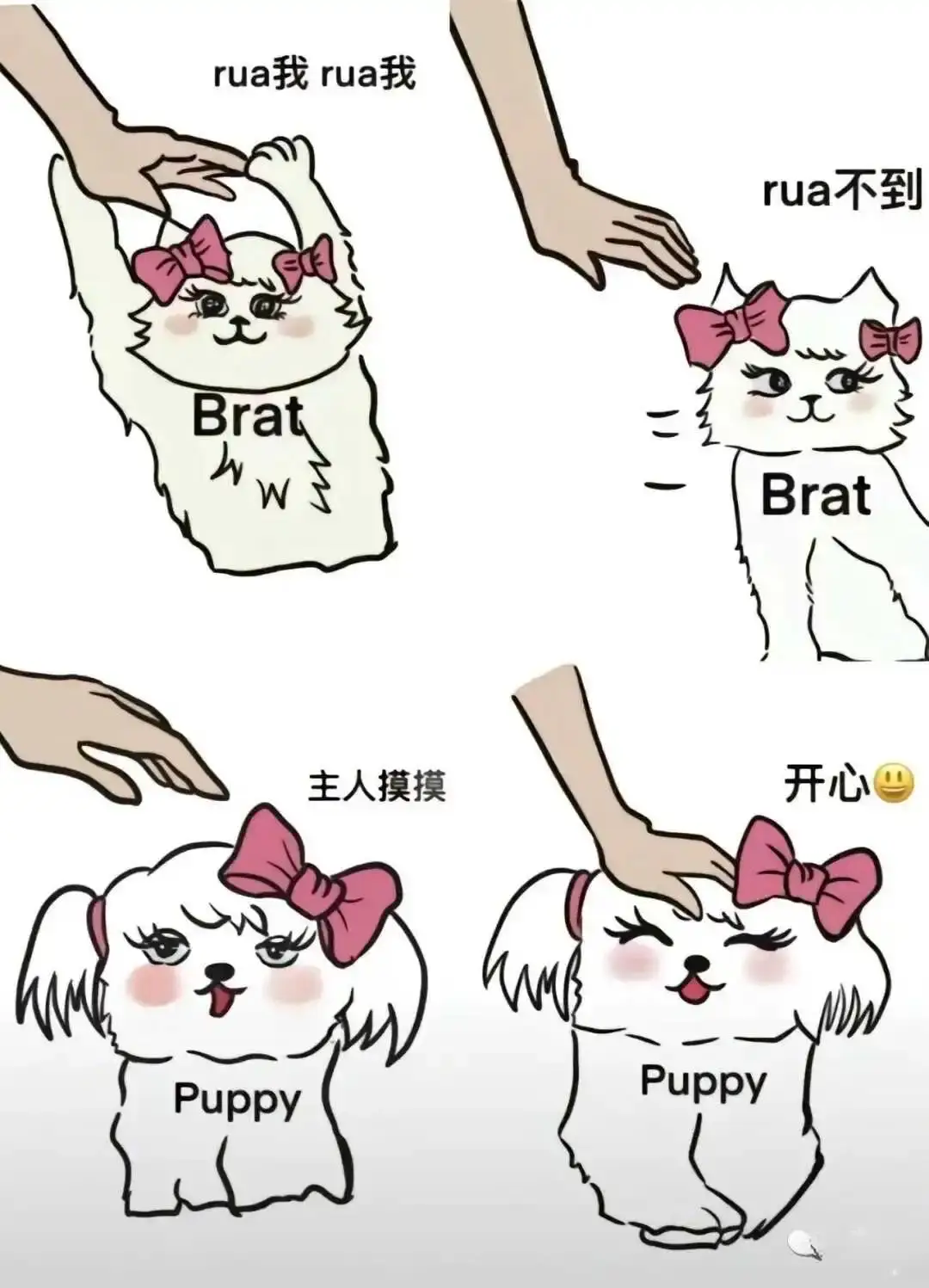 【西檬之家】字母圈的k8猫系指南