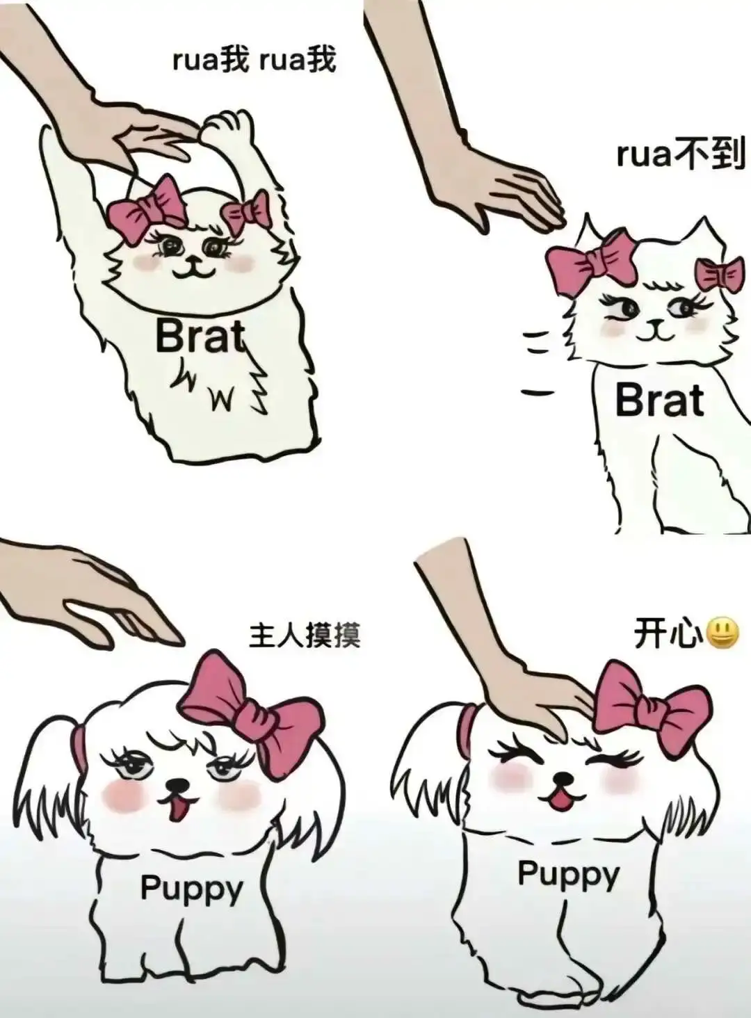 西檬之家-Sub是什么？字母圈新人必知的臣服者定义