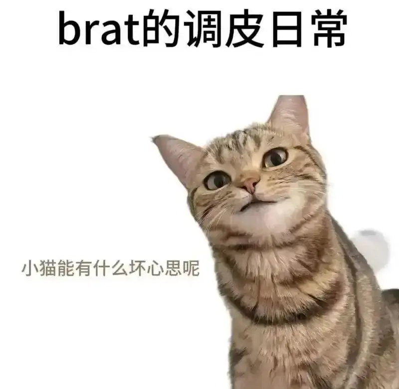 字母圈入圈 - 微信图片_20251203212836_109_19