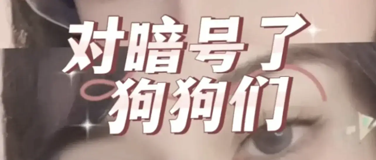 【西檬之家-字母圈的PE是什么？权力交换的深层解析】